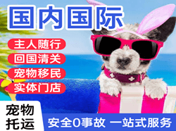 庆阳航空物流国际宠物托运 【国